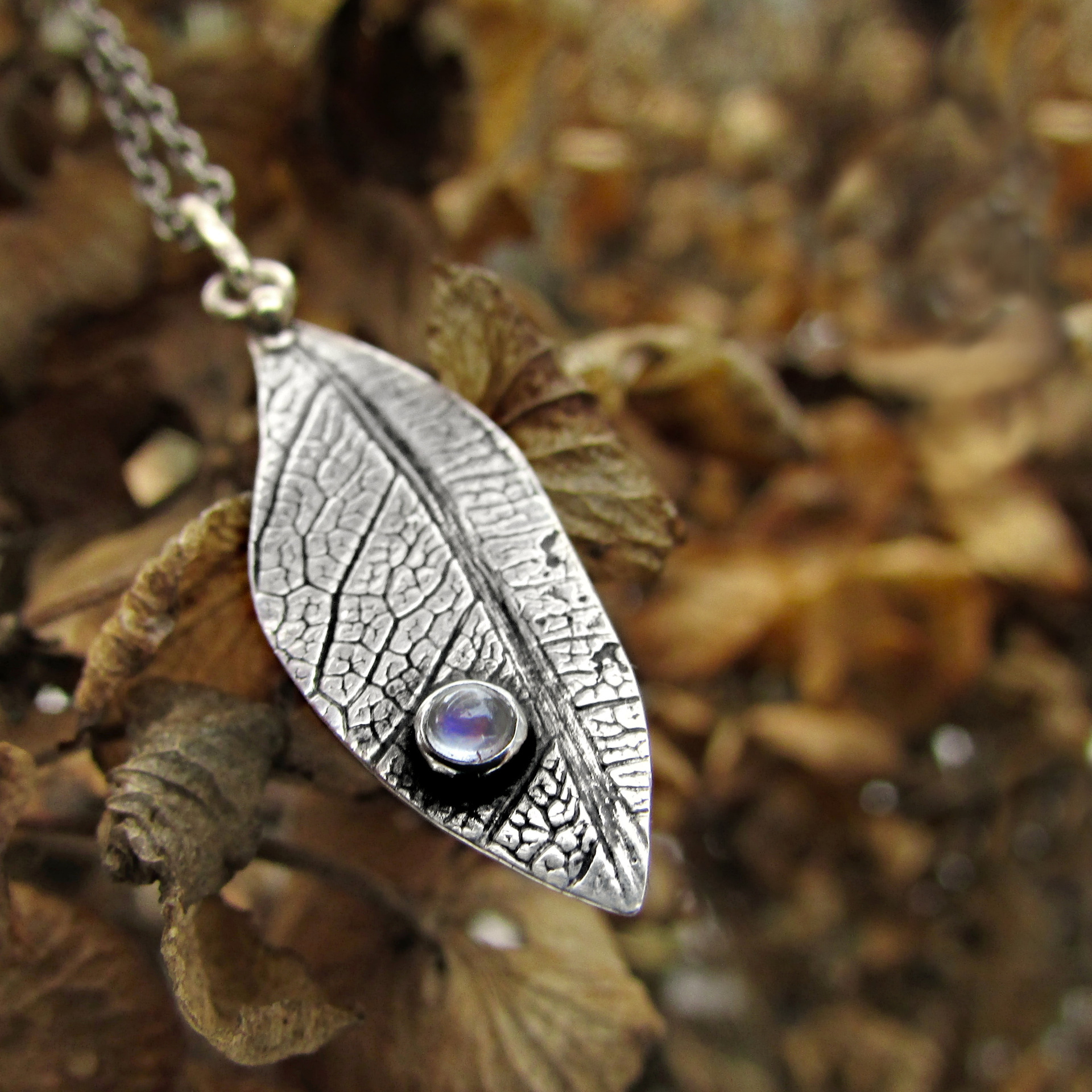 Struktura listu a měsíční kámen (přívěsek)